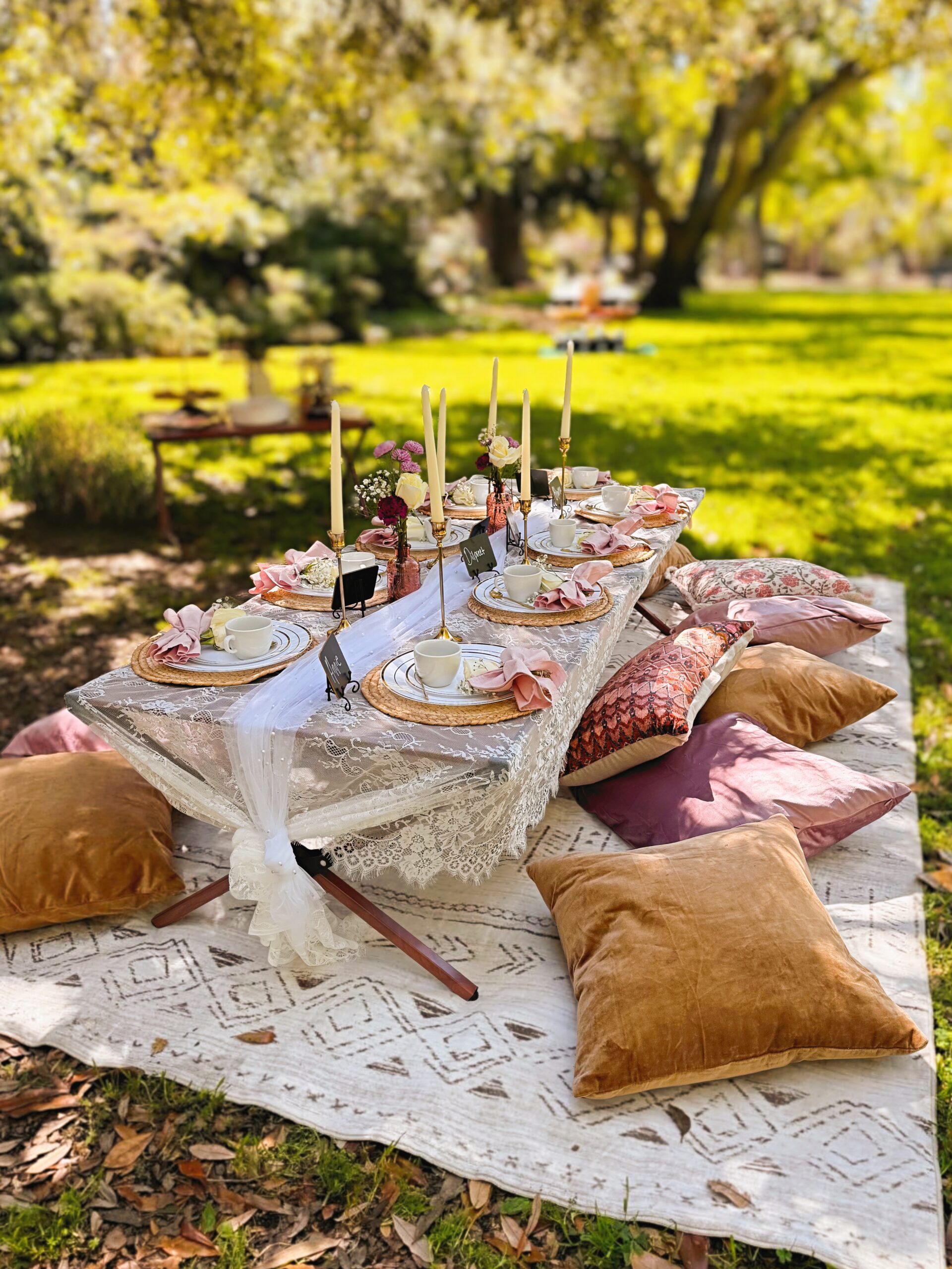 Luxury boho picnic setup in Southern California